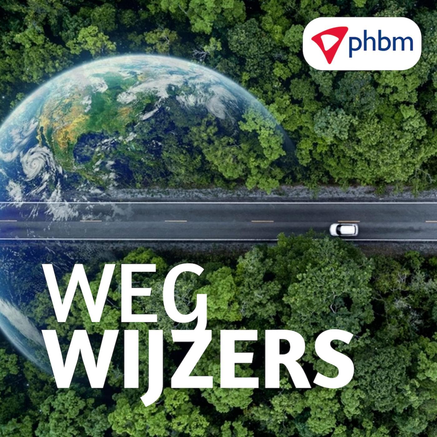 Cover van Wegwijzers